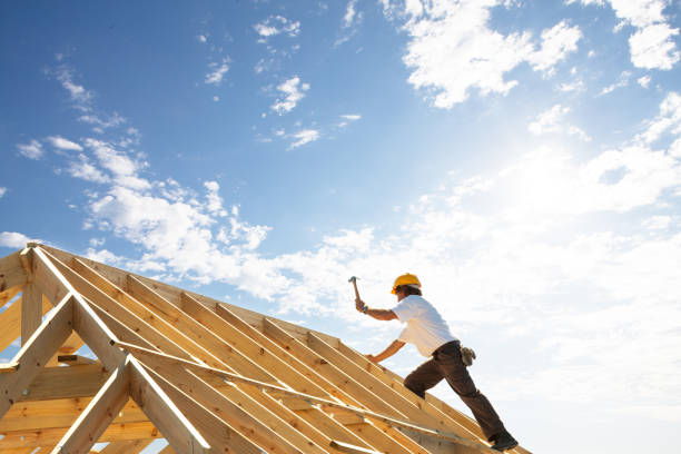 Best Storm Damage Roof Repair  in Laurel, FL
